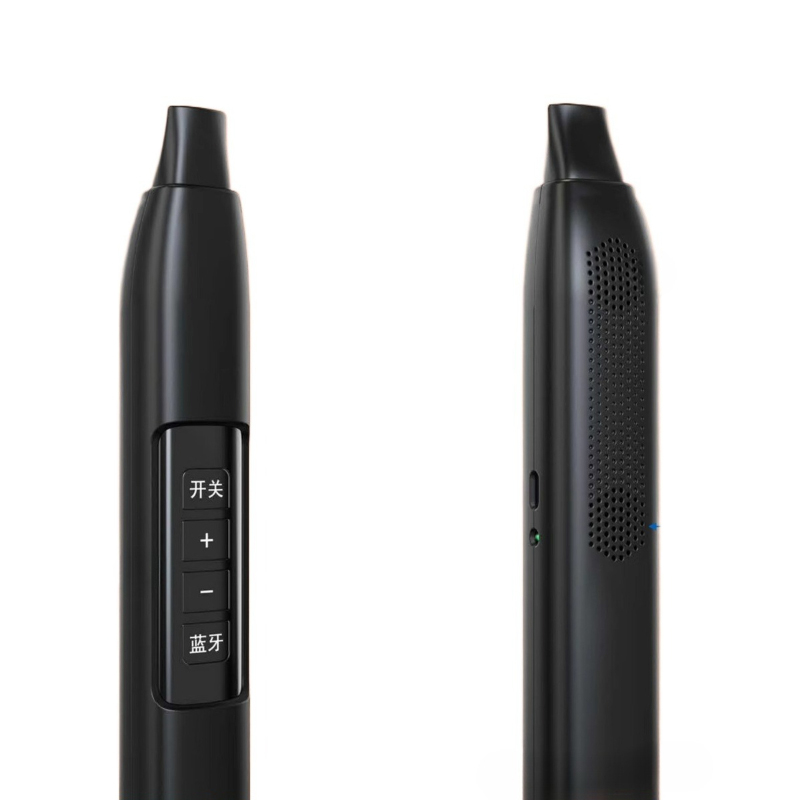 Portable Electronic Wind Instr - Musical Instrument Saxophone recension och pris