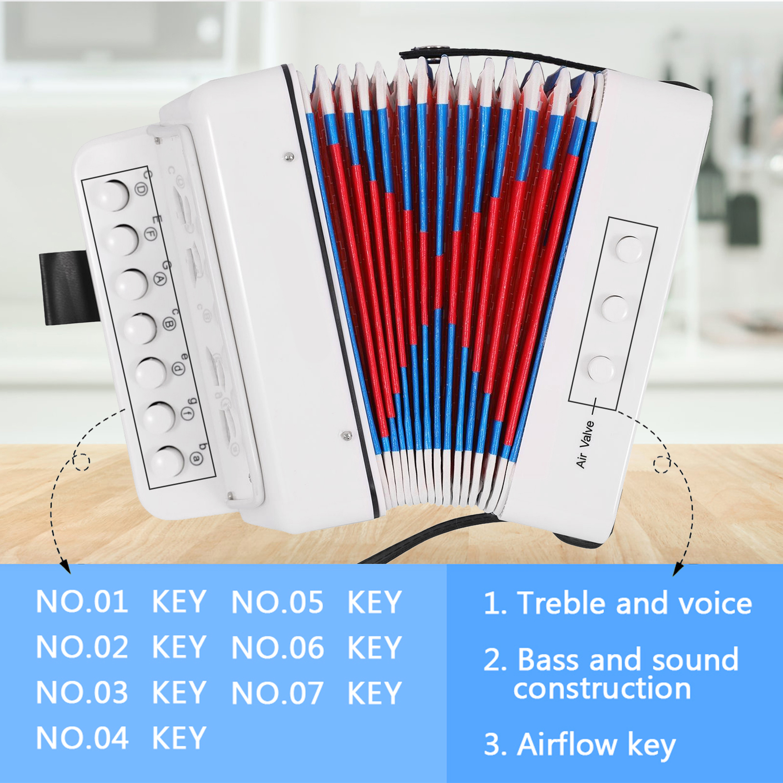 Mini 10 Keys Accordion Toy for - Musical Instrument Project recension och pris